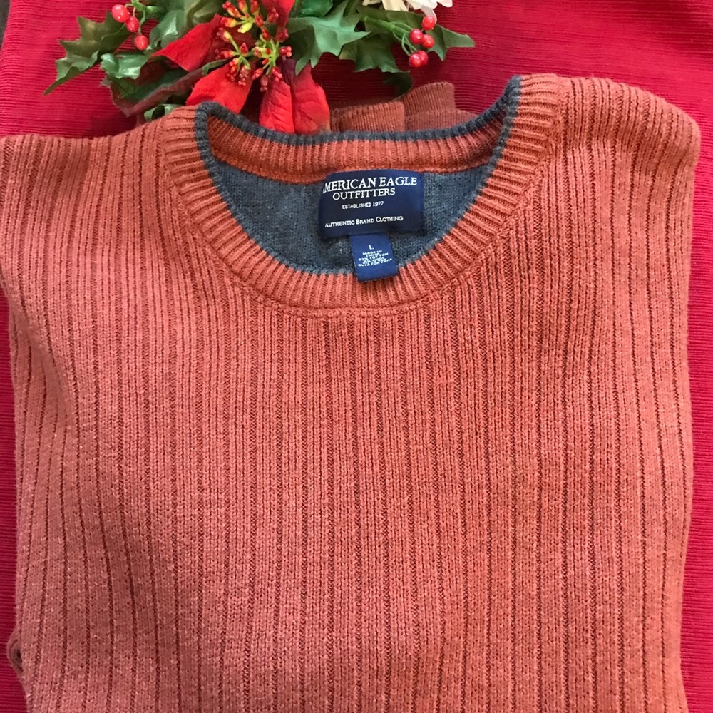 Men’s American Eagle Outfitters Winter Sweater, Size Large, Brick Red in Color